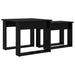 Set de măsuțe de cafea 2 pcs Stejar Negru Lemn compozit - WALTI WALTI