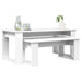 Set de măsuțe de cafea 2 pcs Alb Lemn compozit - WALTI WALTI