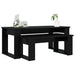 Set de măsuțe de cafea 2 pcs Stejar Negru Lemn compozit - WALTI WALTI