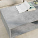 Masă de cafea Gri din beton 100 x 46 x 35 cm Lemn compozit - WALTI WALTI