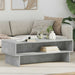Masă de cafea Gri din beton 100 x 46 x 35 cm Lemn compozit - WALTI WALTI