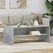 Masă de cafea Gri din beton 100 x 50 x 40 cm Lemn compozit - WALTI WALTI