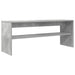 Cabinet TV Gri din beton 100 x 30 x 40 cm Lemn compozit - WALTI WALTI