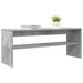 Cabinet TV Gri din beton 100 x 30 x 40 cm Lemn compozit - WALTI WALTI