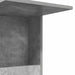 Masă laterală Gri din beton 40 x 35 x 60 cm Lemn compozit - WALTI WALTI