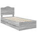 Cadru de pat cu sertar Gri Sonoma 75 x 190 cm Lemn Ingineresc - WALTI WALTI