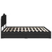 Cadru de pat cu sertar Negru 200 x 200 cm Lemn compozit - WALTI WALTI