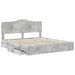 Cadru de pat cu sertar Gri din beton 200 x 200 cm Lemn compozit - WALTI WALTI