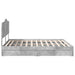 Cadru de pat cu sertar Gri din beton 200 x 200 cm Lemn compozit - WALTI WALTI