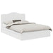 Pat cu storage cu headboard Alb 160 x 200 cm Lemn compozit - WALTI WALTI