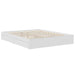 Pat cu storage cu headboard Alb 160 x 200 cm Lemn compozit - WALTI WALTI
