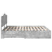 Cadru de pat cu sertar Gri din beton 200 x 200 cm Lemn compozit - WALTI WALTI