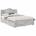 Cadru de pat cu sertar Gri din beton 150 x 200 cm Lemn compozit - WALTI WALTI