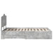 Cadru de pat cu sertar Gri din beton 120 x 190 cm Lemn compozit - WALTI WALTI