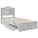 Cadru de pat cu sertar Gri din beton 100 x 200 cm Lemn compozit - WALTI WALTI