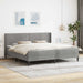 Cadru de pat cu saltea cu headboard 2 pcs Gri deschis Catifea - WALTI WALTI