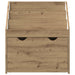 Raft pentru copii cu sertar Stejar Artizanal 60 x 29,5 x 69 cm - WALTI WALTI