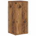 Raft lateral Lemn vechi 33 x 32 x 70,5 cm Lemn compozit - WALTI WALTI