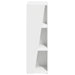 Raft lateral Alb 33 x 32 x 100,5 cm Lemn compozit - WALTI WALTI