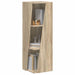 Raft lateral Stejar Sonoma 33 x 32 x 100,5 cm Lemn compozit - WALTI WALTI