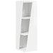 Raft lateral Alb lucios 33 x 32 x 100,5 cm Lemn compozit - WALTI WALTI