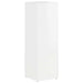 Raft lateral Alb lucios 33 x 32 x 100,5 cm Lemn compozit - WALTI WALTI