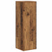 Raft lateral Lemn vechi 33 x 32 x 100,5 cm Lemn compozit - WALTI WALTI
