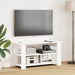 Suport pentru TV Alb 100 x 40 x 50 cm - WALTI WALTI