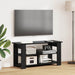 Suport pentru TV Stejar Negru 100 x 40 x 50 cm - WALTI WALTI