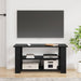 Suport pentru TV Stejar Negru 100 x 40 x 50 cm - WALTI WALTI