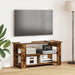 Suport pentru TV Stejar fumuriu 100 x 40 x 50 cm - WALTI WALTI