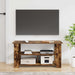 Suport pentru TV Stejar fumuriu 100 x 40 x 50 cm - WALTI WALTI