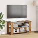 Suport pentru TV Lemn vechi 100 x 40 x 50 cm - WALTI WALTI