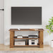 Suport pentru TV Lemn vechi 100 x 40 x 50 cm - WALTI WALTI