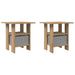 Noptieră 2 pcs Stejar Artizanal 41 x 40 x 45 cm Lemn compozit - WALTI WALTI