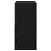 Noptieră 2 pcs Stejar Negru 30,5 x 27 x 59,5 cm Lemn compozit - WALTI WALTI