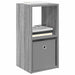 Noptieră 2 pcs Gri Sonoma 30,5 x 27 x 59,5 cm Lemn compozit - WALTI WALTI