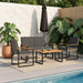 Set de Mobilier pentru Exterior 4 pcs Gri și gri închis - WALTI WALTI
