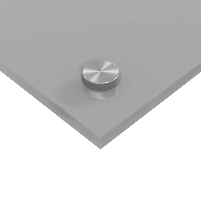 Panou de bucătărie 2 pcs Gri deschis 110 x 60 cm WALTI