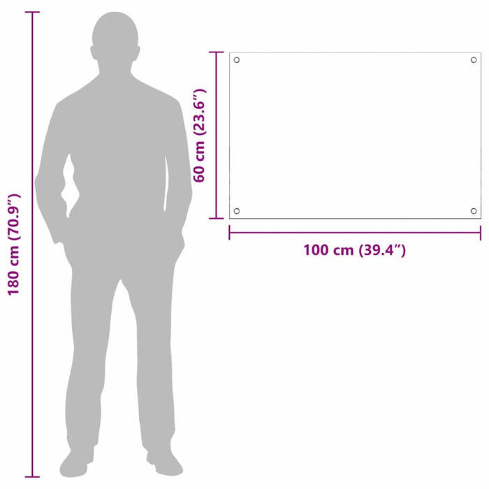Spate de bucătărie 2 pcs Transparent 100 x 60 cm - WALTI WALTI