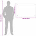Spate de bucătărie 2 pcs Transparent 100 x 60 cm - WALTI WALTI