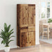 Bufet cu sertar Lemn Vechi 69,5 x 34 x 180 cm Lemn compozit - WALTI WALTI