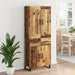 Bufet cu sertar Lemn vechi 69,5 x 34 x 180 cm Lemn compozit - WALTI WALTI