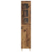 Bufet 2 pcs Lemn Vechi Sticlă - WALTI WALTI
