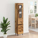 Bufet cu sertar Lemn Vechi 34,5 x 34 x 180 cm Lemn compozit - WALTI WALTI