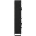 Bufet Pe perete cu sertar 2 pcs Stejar Negru Lemn compozit - WALTI WALTI