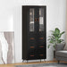 Cabinet înalt cu raft 2 pcs Stejar Negru Lemn compozit - WALTI WALTI