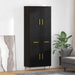 Bufet Pe perete Stejar Negru 69,5 x 34 x 180 cm Lemn compozit - WALTI WALTI