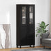 Bufet Pe perete Stejar Negru 69,5 x 34 x 180 cm Lemn compozit - WALTI WALTI