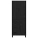 Bufet cu sertar 2 pcs Stejar Negru Lemn Stratificat și Sticlă - WALTI WALTI